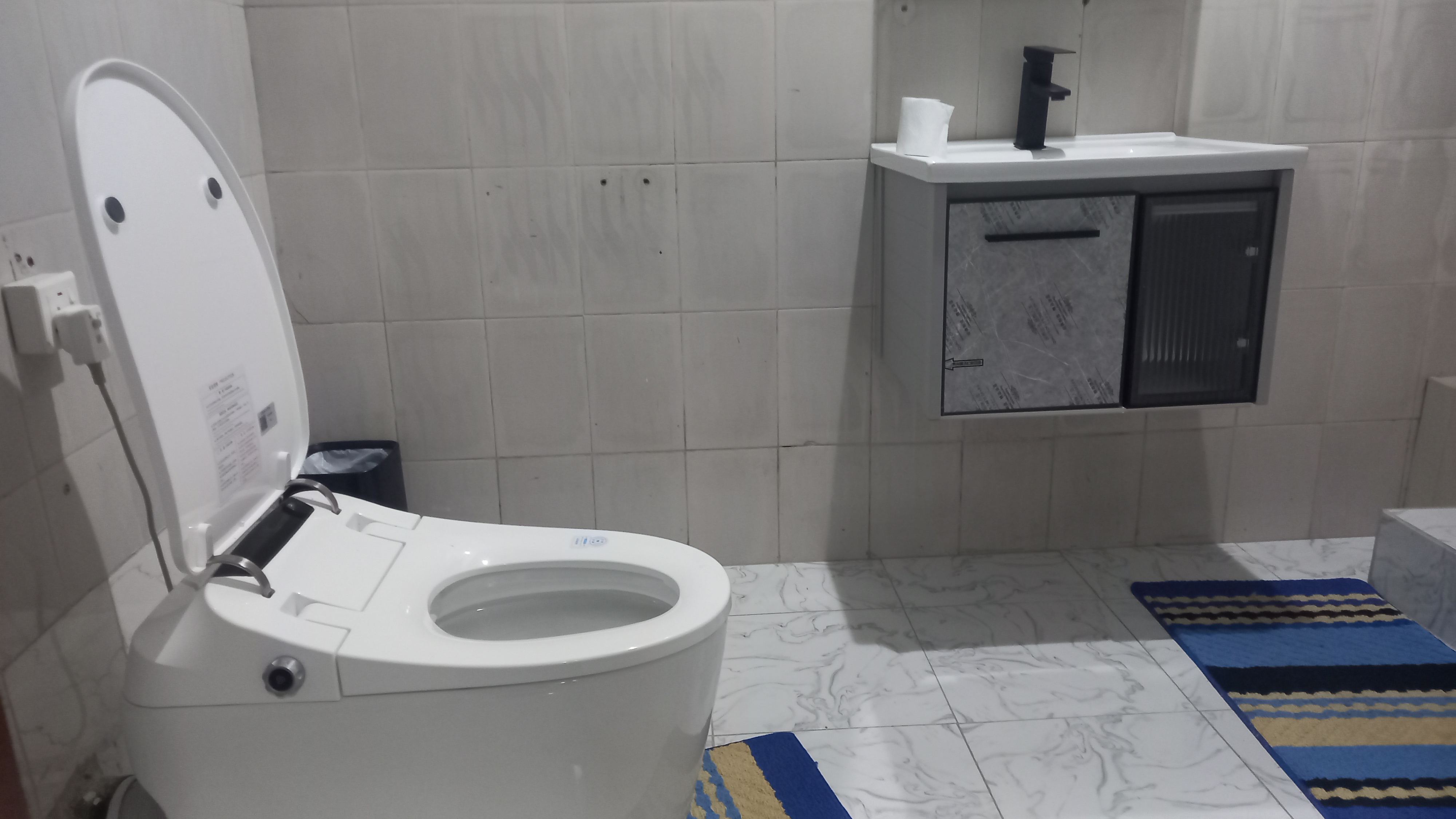 toilet
